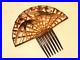 1920_s_Beautiful_Very_Rare_Art_Deco_Vintage_Celluloid_Large_Huge_Hair_Comb_01_ug