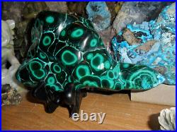 8 Large Very Rare Green Malachite and Blue Chrysocolla Congo AAA+++