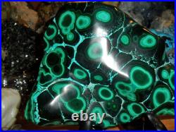 8 Large Very Rare Green Malachite and Blue Chrysocolla Congo AAA+++