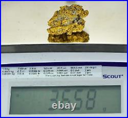 AUQN#6 Large Natural Gold Nugget Australian with Quartz 36.58 Grams Very Rare