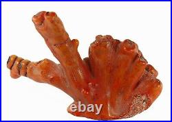 Amazing Very Large Old Antique Natural Red Coral Display Specimen Super Rare