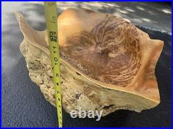 BURL BOWL Very Large Natural Carved Wood 18 wide x 7 Tall VERY RARE-Canadian