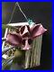 Bulbophyllum_Orthosepalum_Orchid_Very_Rare_Species_Very_Large_Plant_75_01_cjrw