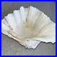 Extra_Large_Giant_Clam_Shell_Half_Very_Rare_Unique_Real_Sea_Shell_01_npgk