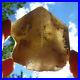 Gold_Calcite_Rhombohedron_Very_Rare_Large_Terminated_Natural_Crystal_New_York_01_ctq