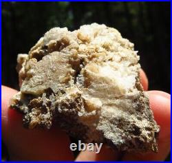 Gold Herderite Very Rare Locality Large Natural Crystal Maine