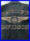 Harley_Davidson_110_Anniversary_Leather_Mens_Jacket_Large_Very_Rare_No_Reserve_01_xbu