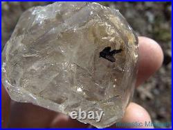 LARGE VERY RARE CLEAR Arkansas Quartz Crystal MOBILE ENHYDRO SMOKEY DOUBLE Point