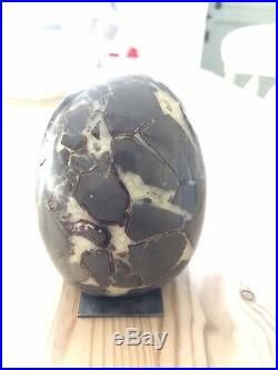 Large 5 Raven Youngman Septarian Crystal Skull, Very Rare