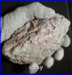 Large Meteorite Very Rare Stony Chondrite Has Chromium 750.00 Grams No Reserve
