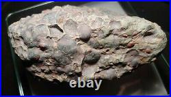 Large Meteorite Very Rare Stony Chondrite Has Chromium 750.00 Grams No Reserve