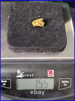 Large Montana gold Nugget 15.5 grams Beautiful specimen very rare