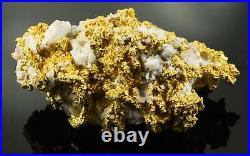 Large Natural Gold Nugget Australian 289.78 Grams 9.31 Troy Ounces Very Rare