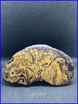 Large Very Rare Agatized Hematite Polished