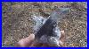 Large_Very_Rare_Blue_Phantom_Cluster_Arkansas_Quartz_Crystal_01_favp