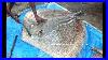 Neverseenbefore_Marbled_Electric_Ray_Fish_Very_Rare_Fish_Cutting_Big_Fish_Cutting_01_fvmq