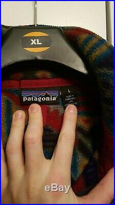 Patagonia Synchilla Fleece Mens Large L Very rare pattern