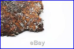 Rare Sericho Pallasite Meteorite Kenya, Africa very large collector piece 3402g