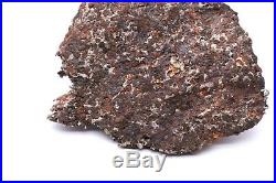 Rare Sericho Pallasite Meteorite Kenya, Africa very large collector piece 3402g