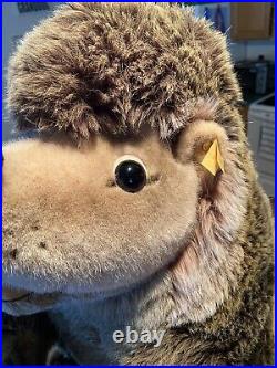 Super Large 21 Steiff Joggi Hedgehog Ear Button And Tag Very Rare West Germany