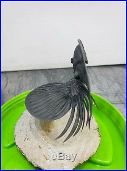 VERY RARE Flying Large Scabriscutellum Trilobite Free Standing Museum Fossil