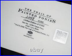 VERY RARE LARGE #12384 Trail of Painted Ponies FETISH PONY 9 WESTLAND