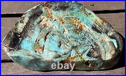 Very Large Rare Natural & Untreated Polished Blue Opal Petrified Wood Indonesia