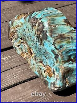 Very Large Rare Natural & Untreated Polished Blue Opal Petrified Wood Indonesia
