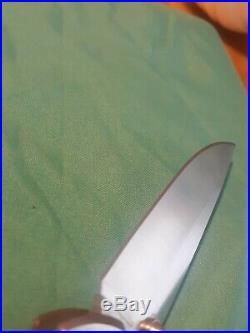 Very Rare Chris Reeve Large Sebenza 21 Seagrass CGG 3.625 S35VN Blade