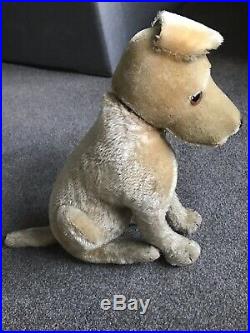 Very Rare Large 12 Antique Steiff Treff Mohair Dog Old FF Trailing F Button NR