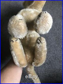 Very Rare Large 12 Antique Steiff Treff Mohair Dog Old FF Trailing F Button NR