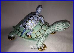Very Rare Large HEREND Painted Turtle and Baby Reserve Limited Edition. 8.5