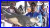 Very_Rare_Sea_Fish_You_Will_Be_Wonder_To_See_Digha_Mohana_Fish_Market_West_Bengal_India_01_vb